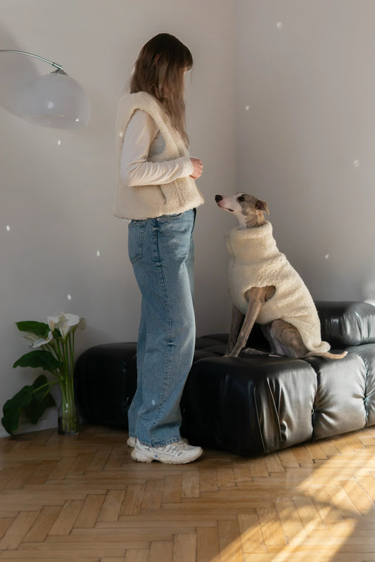 Hearth Dog Vest - Light Grey