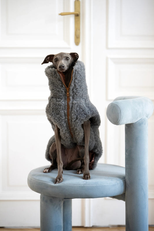 Hearth Dog Vest - Dark Grey