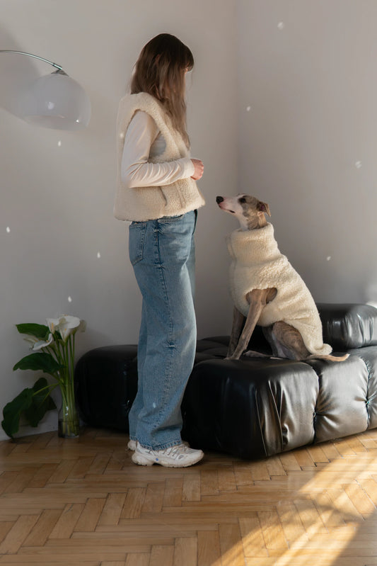 Hearth Dog Vest - Pink