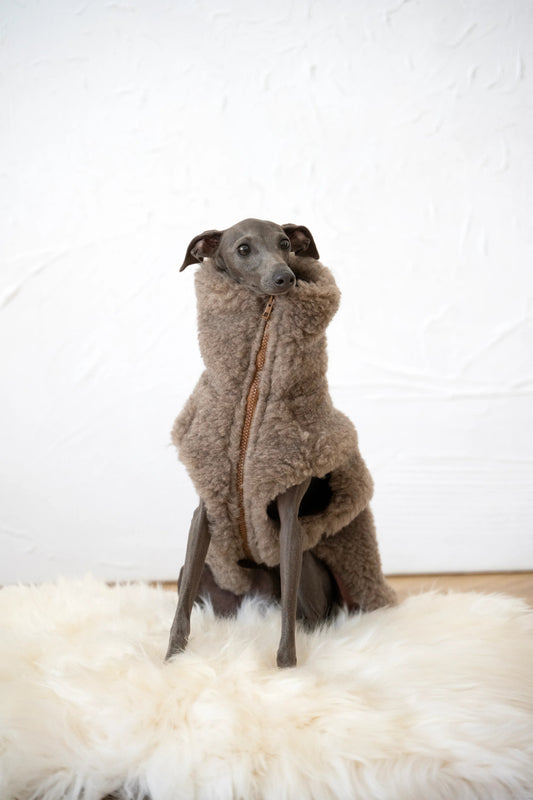 Hearth Dog Vest - Beige