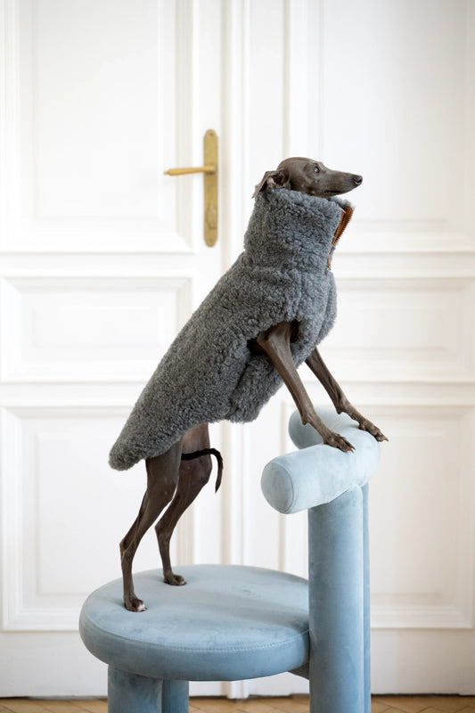 Hearth Dog Vest - Dark Grey